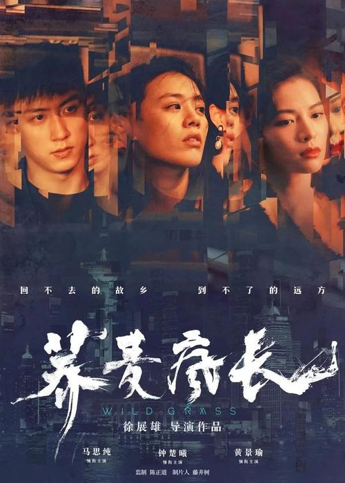 做假的工程监理资质证书