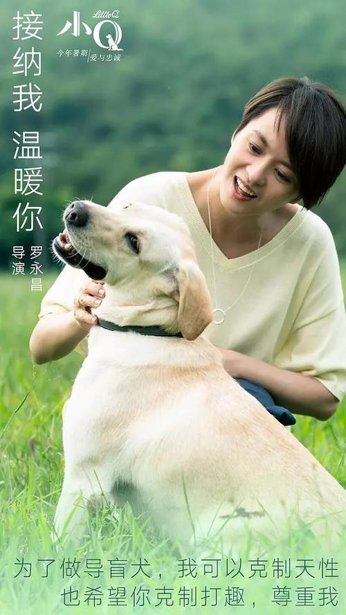 做假兴业银行存款证明哪里能做